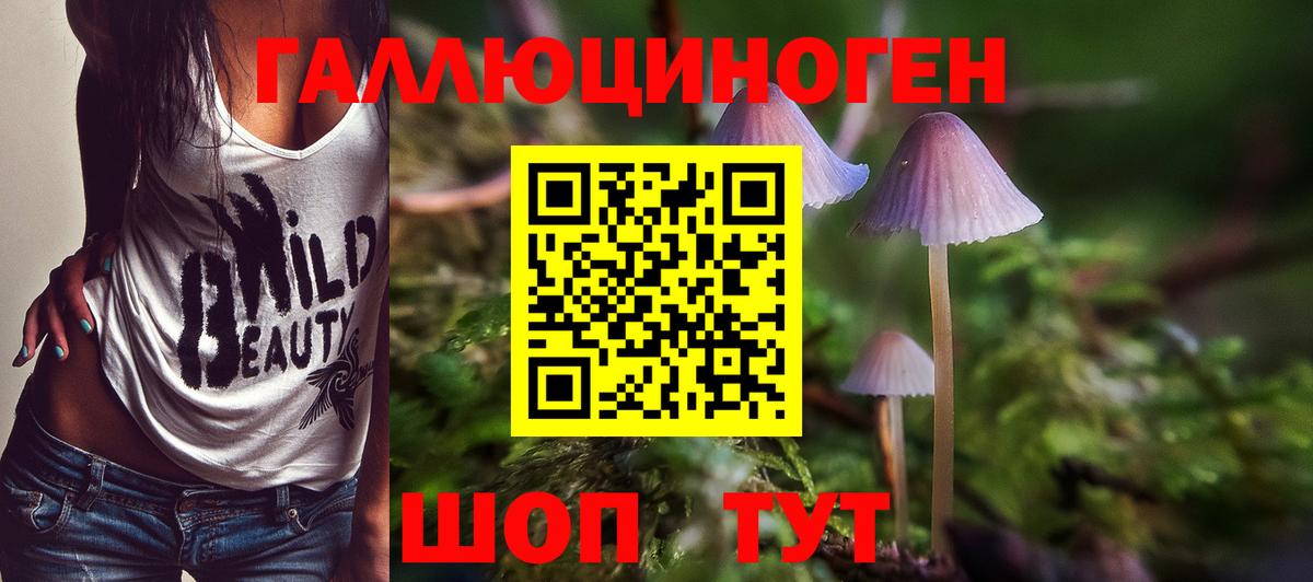 Норильск  Галлюциногенные грибы мухоморы  Псилоцибиновые грибы мицелий  Вход с VPN 